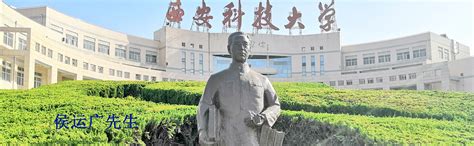 关注蜜桃视频网址变动，用户如何及时跟进